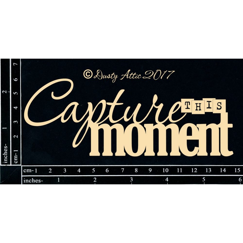 Capture This Moment