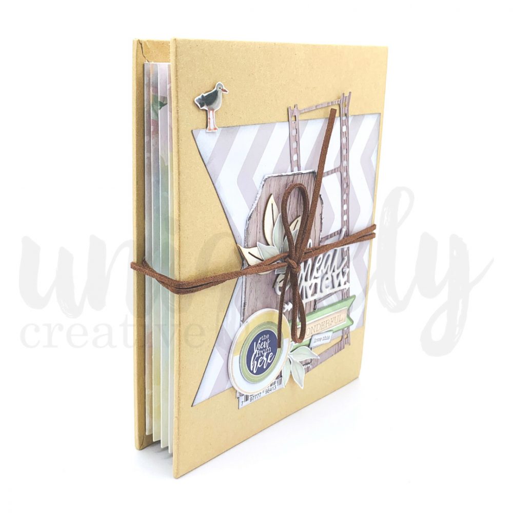 Accordion Album - Image 2