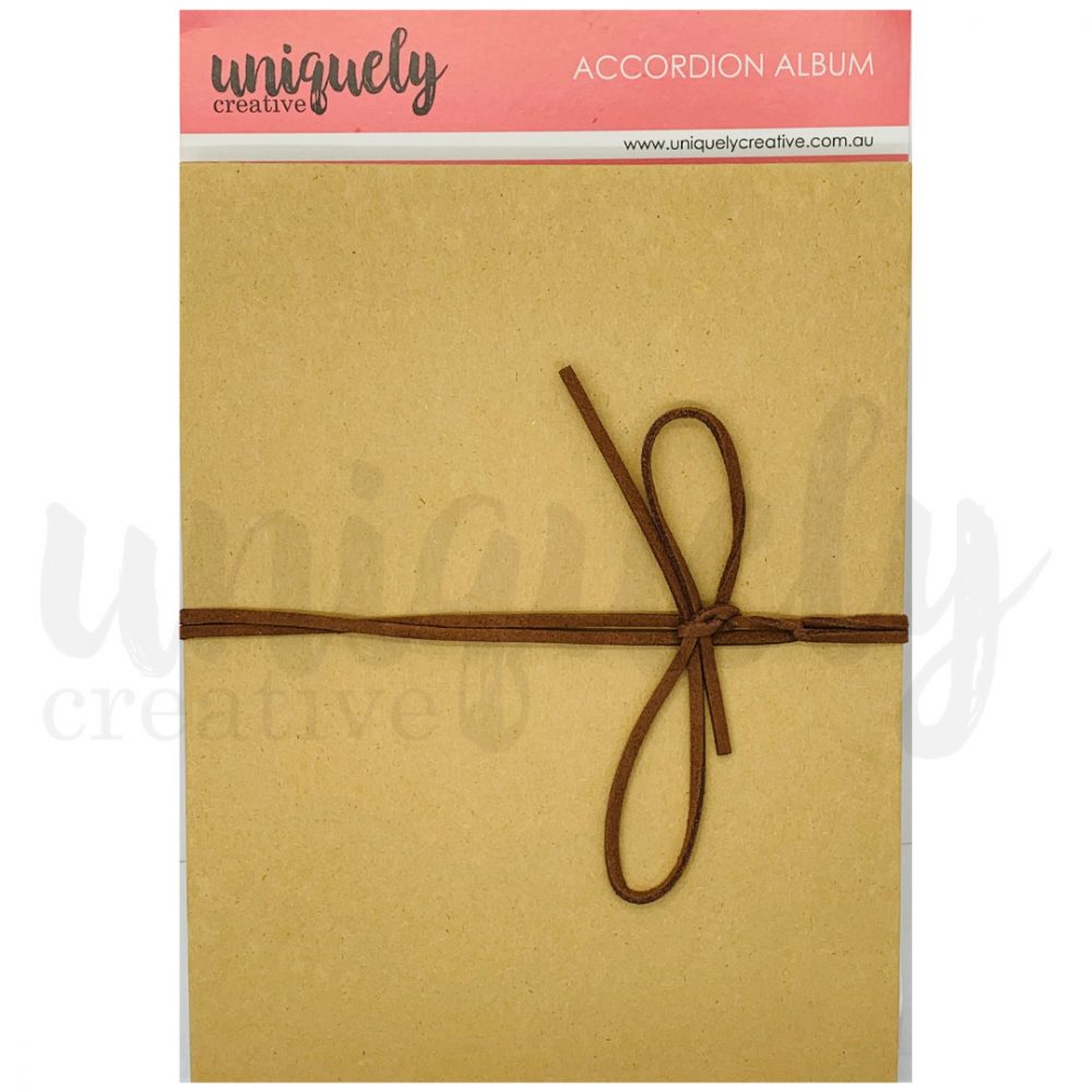 Accordion Album - Image 3
