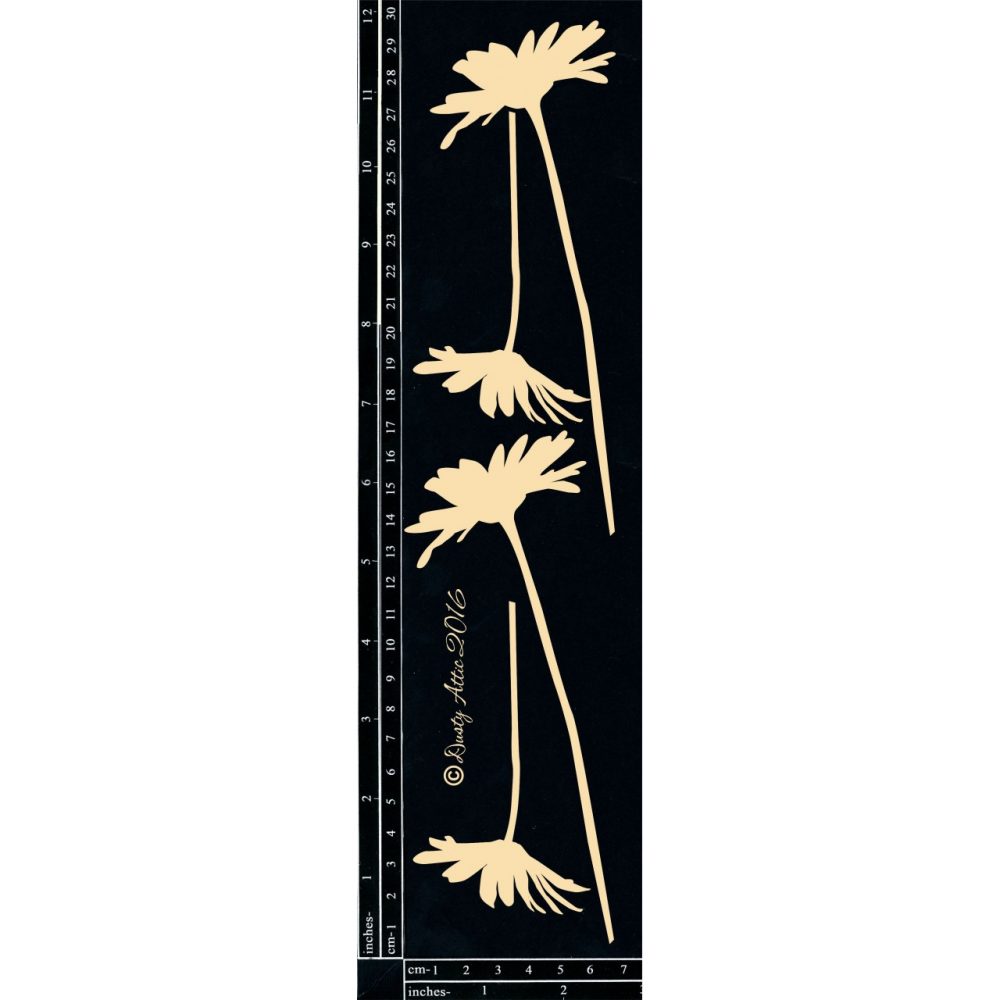 Daisies