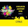 Colour Artist Ink Citrus