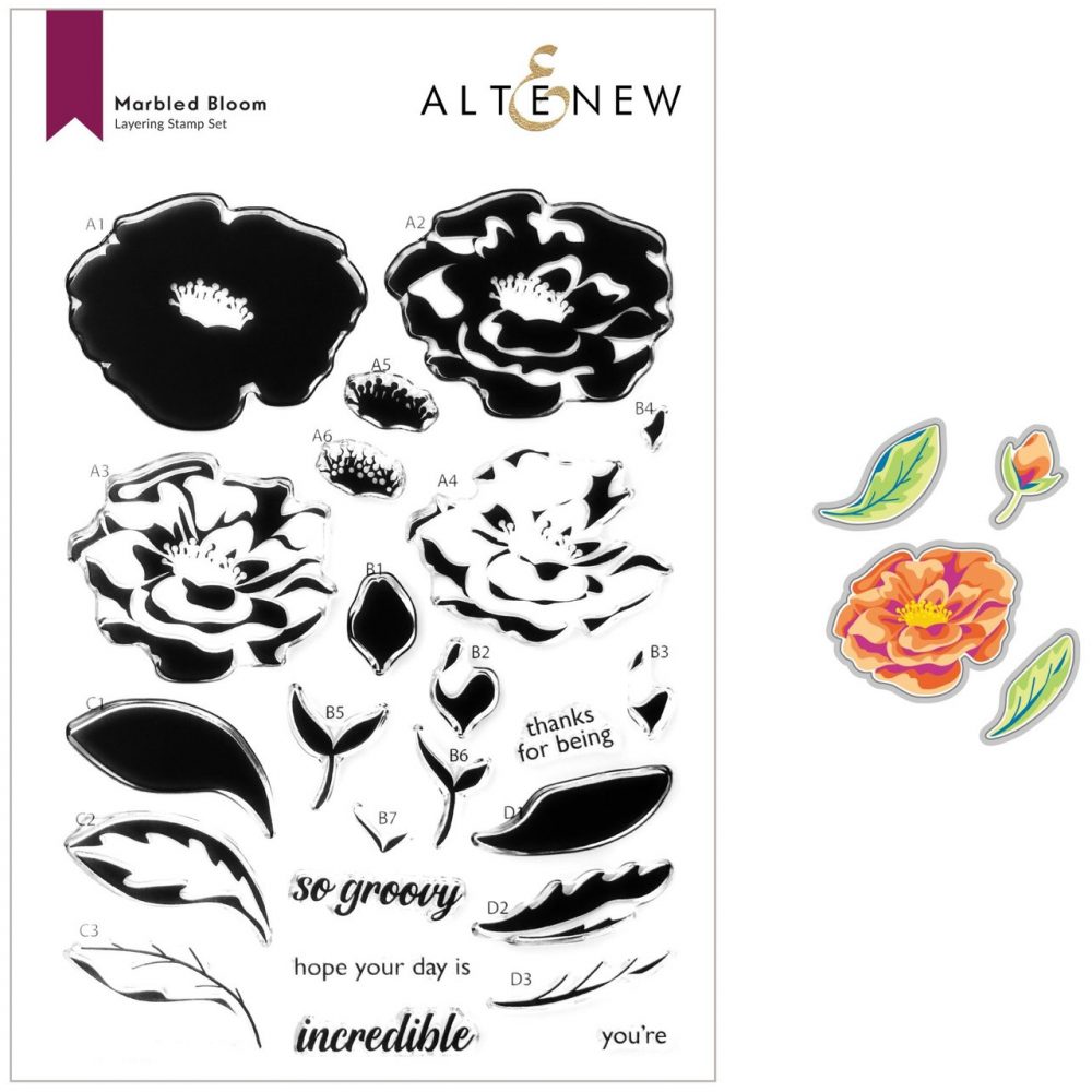 Marbled Bloom Stamp & Die Bundle