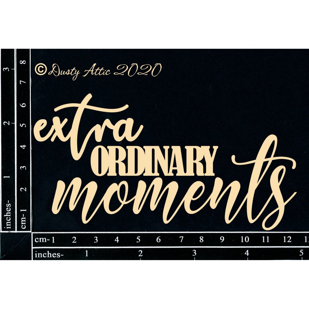 Extra Ordinary Moments