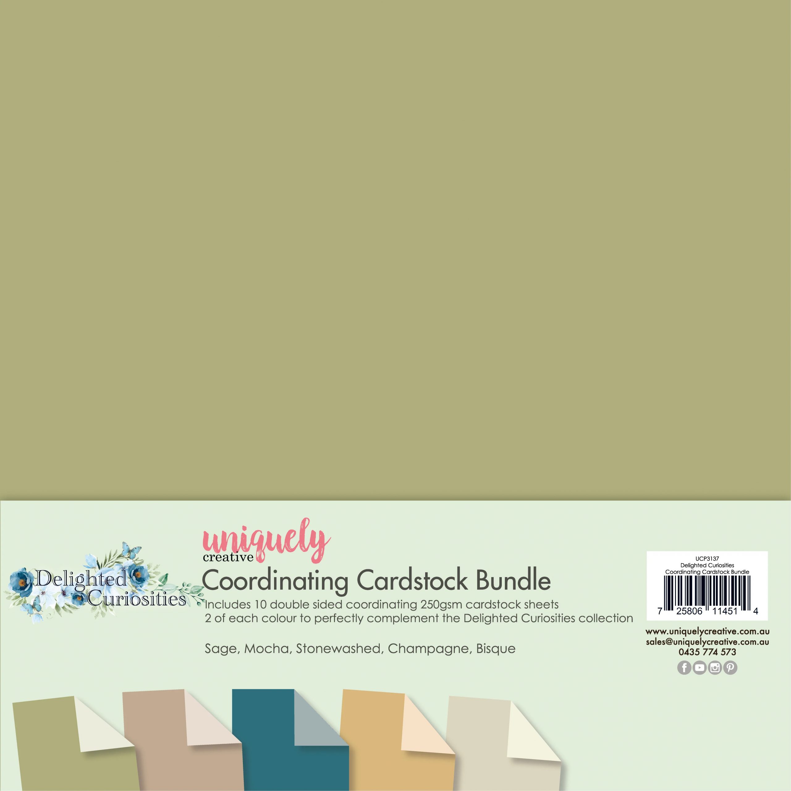 Delighted Curiosities Coordinating Cardstock Bundle